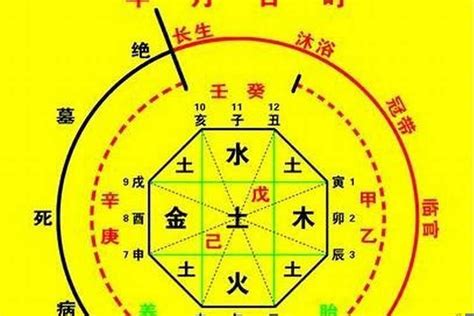 八字命盤 五行|生辰八字算命、五行喜用神查询（免费测算）